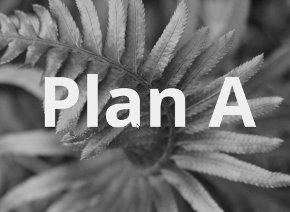 plan A
